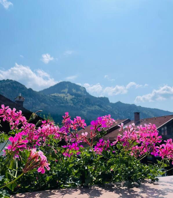 Berge, Wandern, Erholung Pur! Fewo Tinka-Haus Katja Apartamento Bad Hindelang Exterior foto